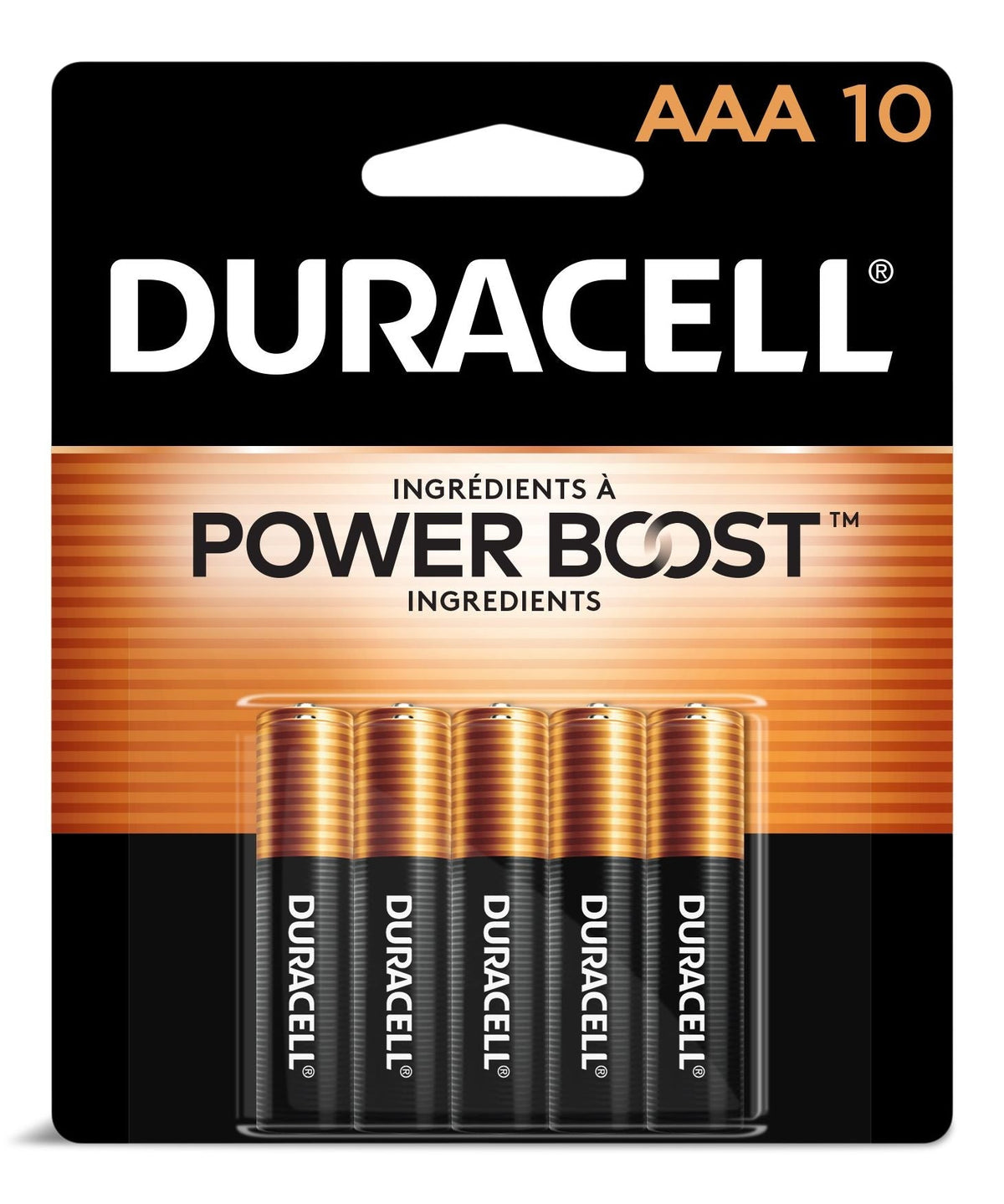Coppertop AAA Alkaline Batteries, All Purpose, 10-pk E4L6 - product image 1