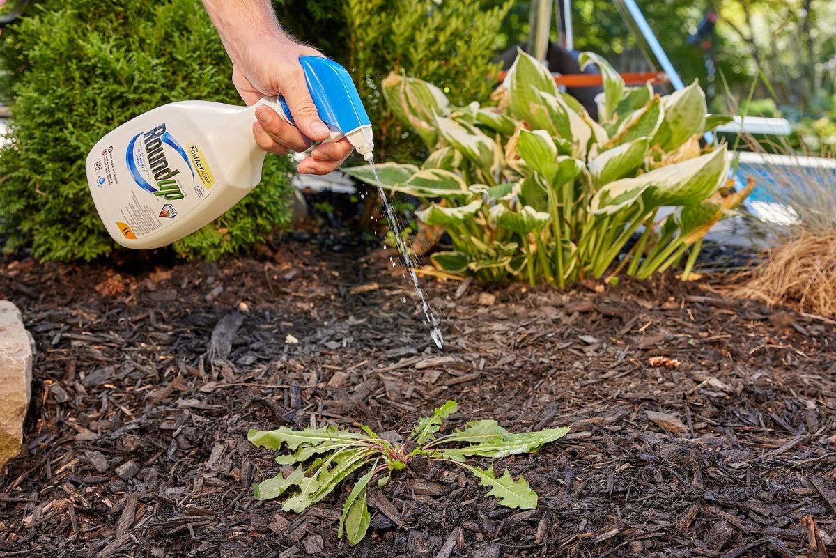 Ready-to-Use Herbicide Grass & Weed Control/Killer with Fast Fact Foam, 1-L X5G4 - product image 4