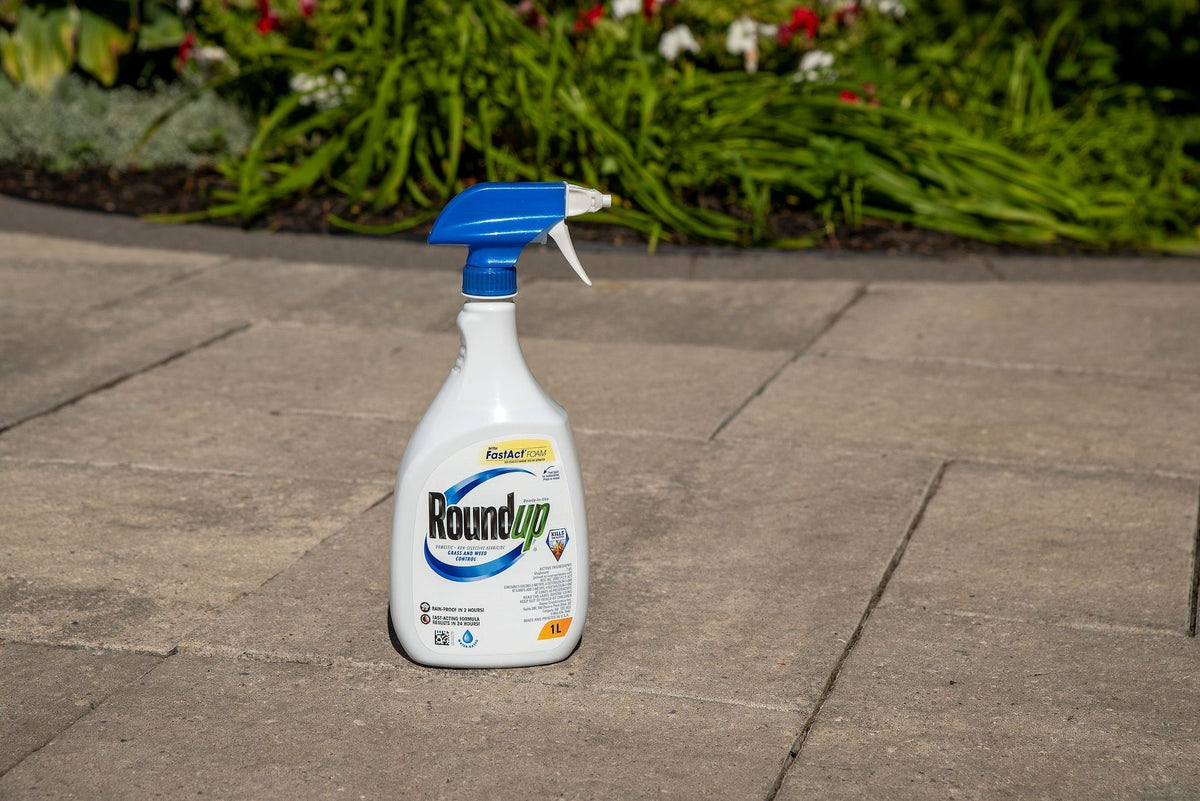 Ready-to-Use Herbicide Grass & Weed Control/Killer with Fast Fact Foam, 1-L X5G4 - product image 5