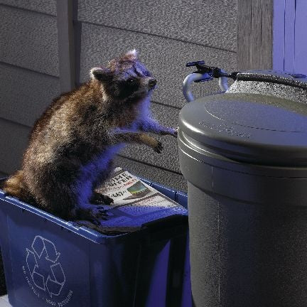 Plastic Circular Animal Stopper Garbage Can, Grey, 121-L E8N4 - product image 5