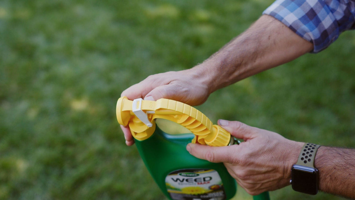 Weed B Gon MAX Ready-to-Spray Weed Control/Killer Concentrate, Herbicide for Lawns, 1-L G3T1 - product image 2