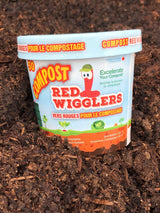 Compost Red Wiggler Live Composting Worms, 50 Count J3X5 - product image 1