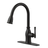 Lisa 1-Handle Pull-Down Kitchen Faucet, Matte Black W1P7 - product image 1