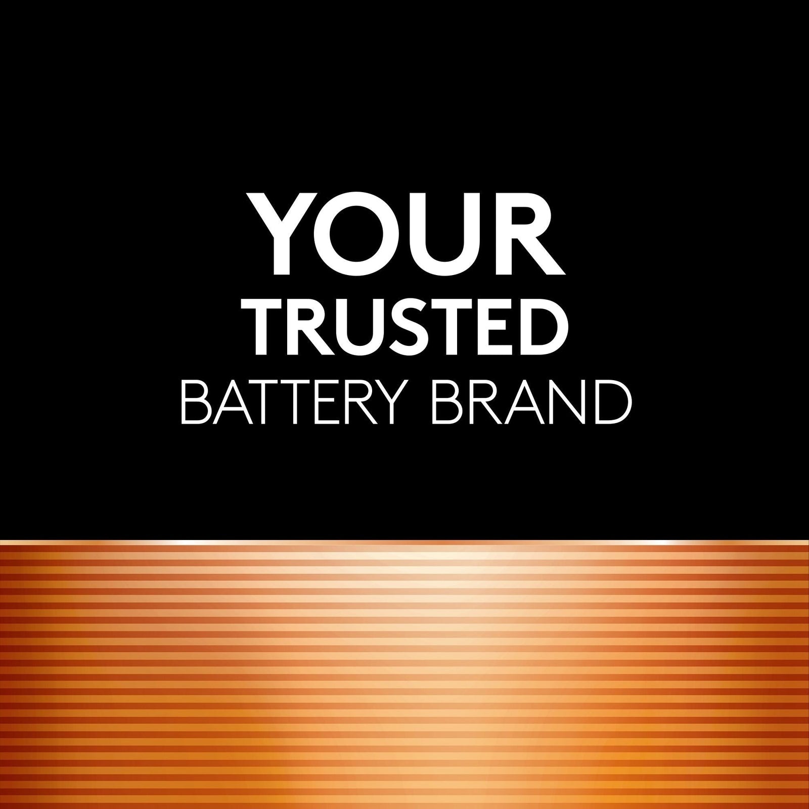 Coppertop AAA Batteries, Alkaline,16-pk Z3W5 - product image 2