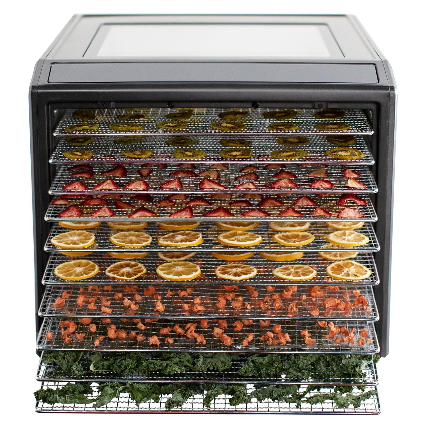 Performance Series 10-Tray Food Dehydrator, Steel, 700W, Stainless Steel, Black J5H3 - product image 4