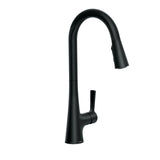 Mikah 1-Handle Pull Down Kitchen Faucet, Matte Black G4N0 - product image 1